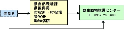 救護の流れ